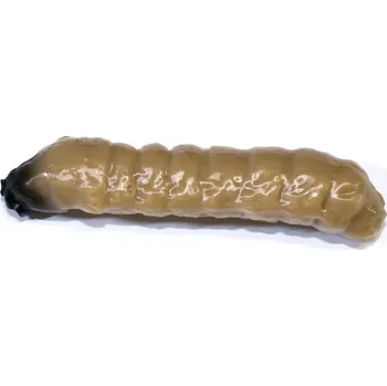 Umělá nástraha Revol Baits nástraha Caddis Larva 40mm příchuť krevetka, barva tmavě béžová 10ks