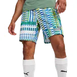Šortky Puma FanwearCapsule Short 658967-15 Velikost S