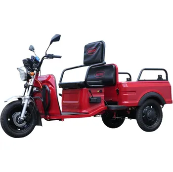 Auto-moto Elektrická tříkolka Selvo WORK 10L (LiFePO4)