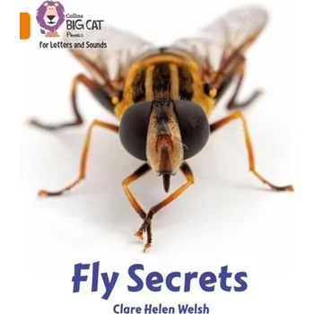 Cizí jazyk Fly Secrets - Welsh, Clare