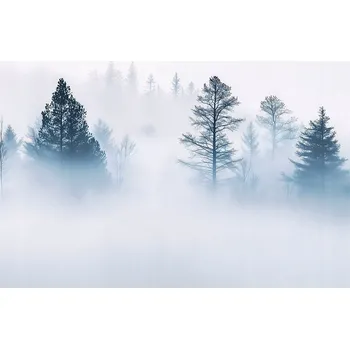 Fototapeta FOTOTAPETA LES V MLZE STROM LOŽNICE OBÝVACÍ POKOJ TAPETA VLIESOVÁ 350x250