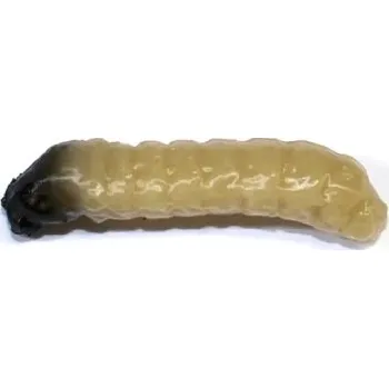 Umělá nástraha Revol Baits nástraha Caddis Larva 20mm příchuť sýr-česnek, barva světle béžová 10ks