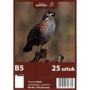 Obálka Obálka B5 bez okénka (176 x 250 mm) bílá, 25 ks