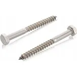 Šrouby do dřeva WT WINTECH a.s. 1 x 1 mm 1 ks