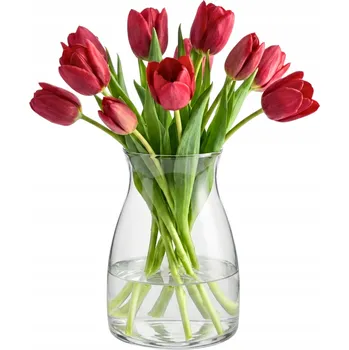 Váza Váza Glasset sklo 20 cm