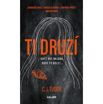 Ti druzí [E kniha] (čeština)