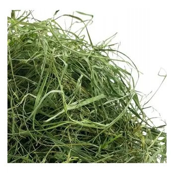 Krmivo pro hlodavce Přírodní seno se šípkem 1 kg pro hlodavce a králíky