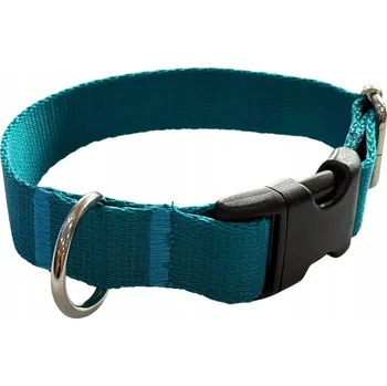 Obojek pro psa Obojek pro psa 2 cm s přezkou, nastavitelný, tyrkysový Zepnij M: 30-45 cm