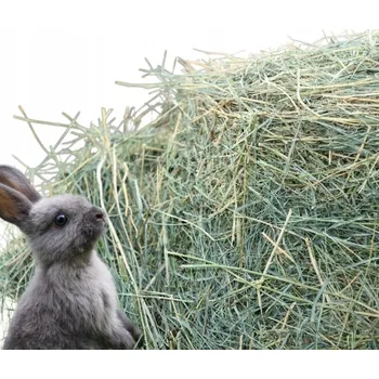 Krmivo pro hlodavce Seno s pamlsky pro hlodavce 1,5 kg