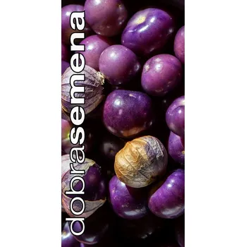 Semeno DOBRÁ SEMENA MOCHYNĚ dužnatoplodá - PURPLE 40s