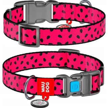 Obojek pro psa Obojek pro psa Waudog vel. S