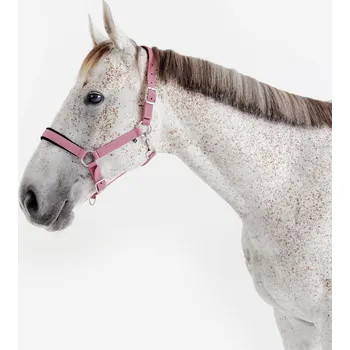 Vybavení pro koně FOUGANZA Jezdecká ohlávka pro koně nubuková CS RŮŽOVÁ|ČERNÁ