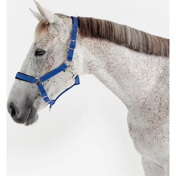 Vybavení pro koně FOUGANZA Jezdecká ohlávka pro koně nubuková CS MODRÁ|ČERNÁ