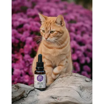 Antiparazitikum pro kočku Ecopets| JEMNÁ KAPKA - Sérum proti klíšťatům a blechám pro KOČKY a KRÁLIKY Objem: 30 ml