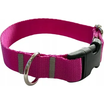Obojek pro psa Obojek pro psa 2,5 cm s přezkou Nastavitelný Fuchsiový Zepnij XS: 20-28 cm