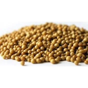 Hnojivo ICL Osmocote Pro 5-6m 19-9-10 vícesložkové hnojivo 1kg