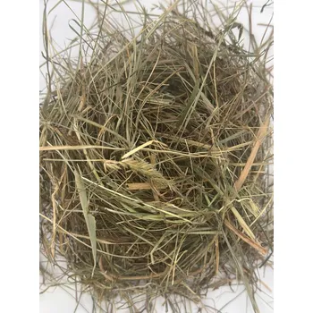 Krmivo pro hlodavce Seno s mátou 1 kg