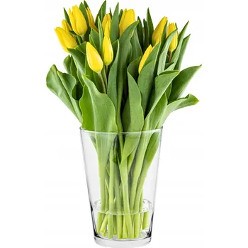 Váza Váza Trend For Home sklo 14,2 x 19,5 cm