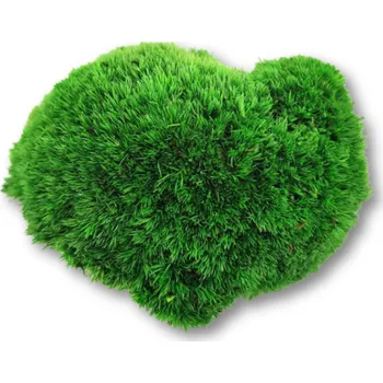 Bochánkový mech - jablková zelená