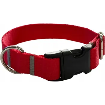 Obojek pro psa Obojek pro psa 2,5 cm s přezkou Nastavitelný Červený Zepnij XS: 20-28 cm