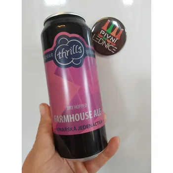 Pivo Thrills Vinařská jedenáctka 11°/5,2% 0,5l