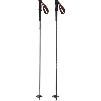 Sjezdová hůlka Salomon QUEST CARBON FOLDABLE L47043500 - Madder 120