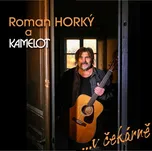 V čekárně - Roman Horký a Kamelot