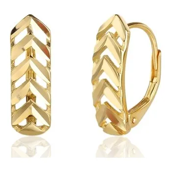 Náušnice Dámské stříbrné pozlacené naušnice STNAU2160F + dárek zdarma