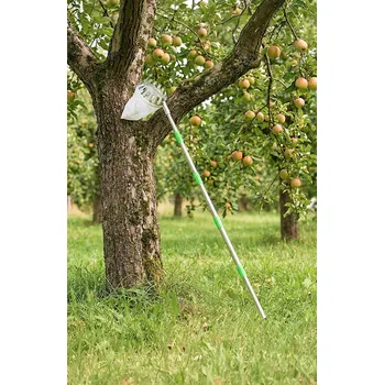 IQ Garden Česáček na ovoce s teleskopickou rukojetí - 4 m 319537