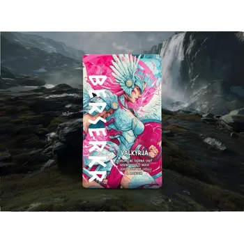 Sušené maso BERSERKR® Sušené hovězí maso / jerky KJOTT - VALKYRJA - Mango & Chilli Berserker®, Barva: Vícebarevná