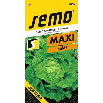 Chov hospodářského zvířete Výprodej - Salát Jupiter 0,4g * letní