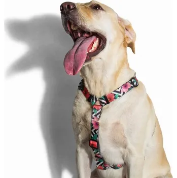 Postroj pro psa Zee Dog Postroj pro psa havajský motiv Mahalo XS