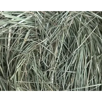 Krmivo pro hlodavce SENO PRO HLODAVCE, seno pro králíky 1kg PŘÍRODNÍ