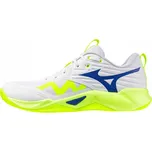 Pánské boty Mizuno Wave Momentum Pro, Basketbal (V1GA254039) - Velikost 42.0