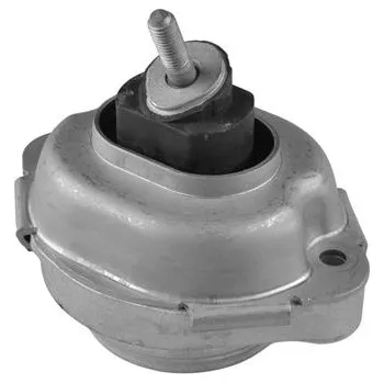 Motor automobilu Zavěšení motoru TEDGUM TED21220