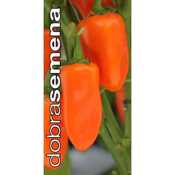 Semeno DOBRÁ SEMENA PAPRIKA SNACKING ORANGE F1 - zeleninová 10 s