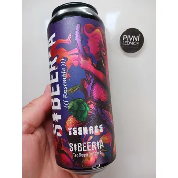 Pivo Sibeeria Ensemble 18°/6% 0,5l