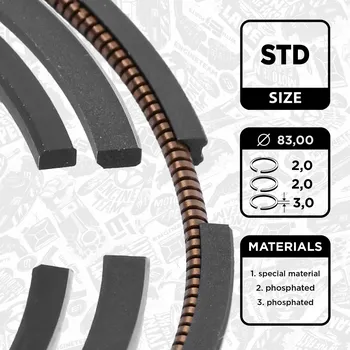 Píst motoru Sada pístních kroužků, R1012500
