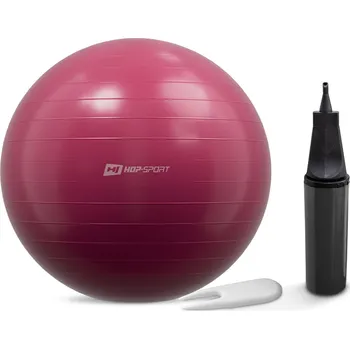Fitness Hop Sport HS-R045YB s pumpou 45 cm