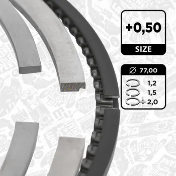 Píst motoru Sada pístních kroužků, R1009650