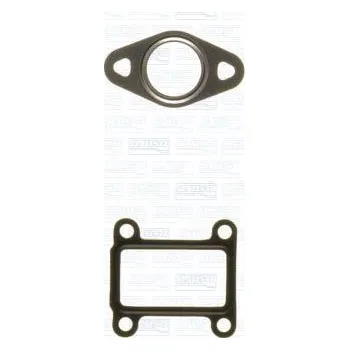 Těsnění výfuku Sada těsnění, agr systém, 77017900