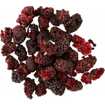 Sušené ovoce Lyo-planet Ostružiny lyofilizované 20g