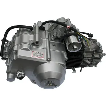 Motor pro motocykl Kompletní motor ZQ9996 pro dětskou čtyřkolku 125 ccm 