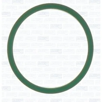 Těsnění motoru Těsnění, koleno sacího potrubí AJUSA 24036100