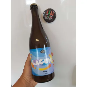 Pivo Pioneer Laguna 14°/5,9% 0,7l