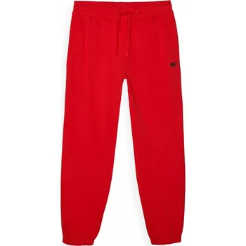 Oblečení a móda Tepláky 4F Red 966500 2X Large