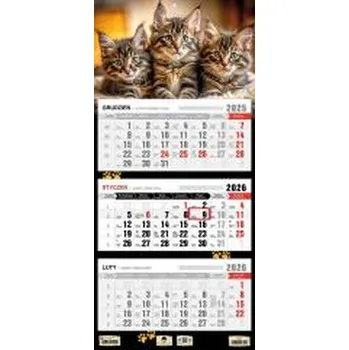 Kalendář Kalendarz 2026 trójdzielny płaska główka kotki