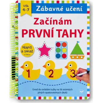 Začínám první tahy napiš a smaž s fixou - Chapman Aimée