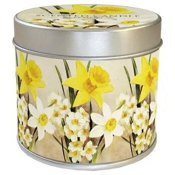 Svíčka Vonná svíčka v plechové dóze Yellow Spring Flowers Daffodil