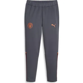 Puma Strong Grey 5105255 L